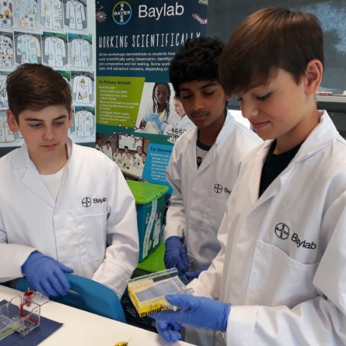 Baylab Forensics session